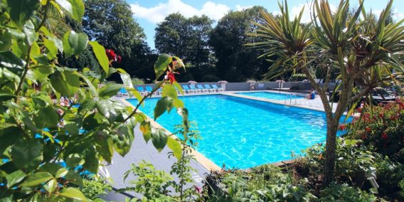 Westhill Country Hotel, Jersey: Family run hotel with gardens and heated pools